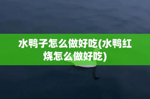 水鸭子怎么做好吃(水鸭红烧怎么做好吃)