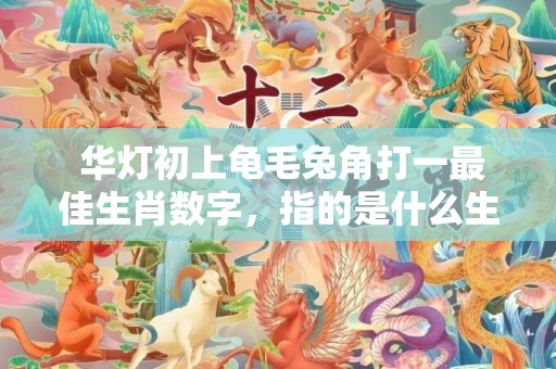 华灯初上龟毛兔角打一最佳生肖数字，指的是什么生肖，成语最佳释义解释答插图