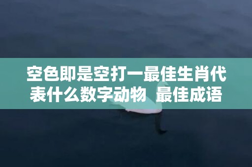 空色即是空打一最佳生肖代表什么数字动物  最佳成语最佳释义解释答