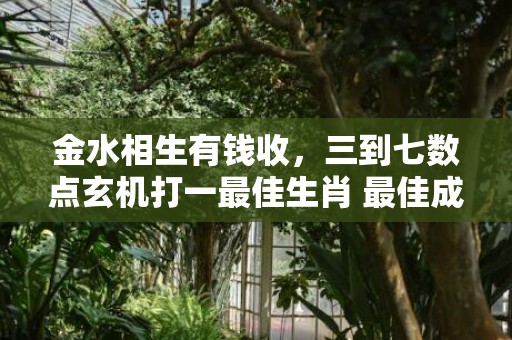 金水相生有钱收，三到七数点玄机打一最佳生肖 最佳成语最佳释义解释答