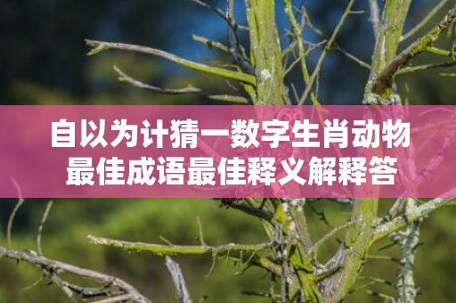 自以为计猜一数字生肖动物 最佳成语最佳释义解释答