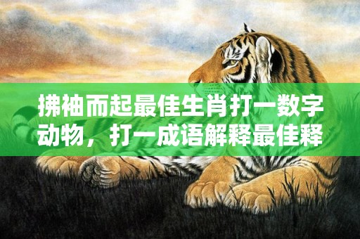 拂袖而起最佳生肖打一数字动物，打一成语解释最佳释义答