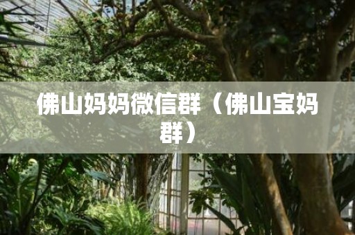 佛山妈妈微信群（佛山宝妈群）