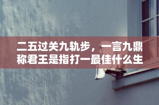 二五过关九轨步，一言九鼎称君王是指打一最佳什么生肖 最佳成语最佳释义解释答