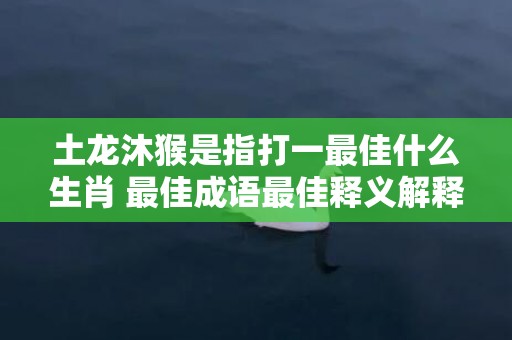 土龙沐猴是指打一最佳什么生肖 最佳成语最佳释义解释答