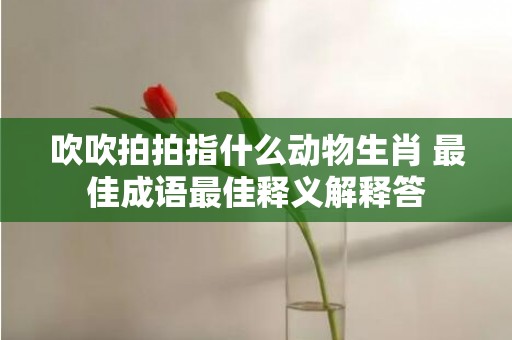 吹吹拍拍指什么动物生肖 最佳成语最佳释义解释答