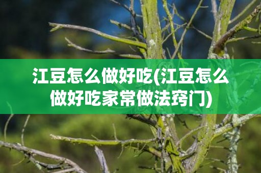 江豆怎么做好吃(江豆怎么做好吃家常做法窍门)