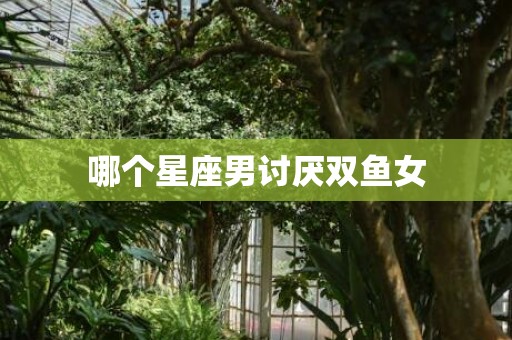 哪个星座男讨厌双鱼女