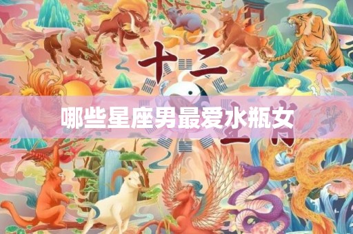 哪些星座男最爱水瓶女