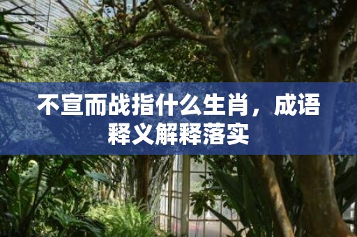 不宣而战指什么生肖，成语释义解释落实