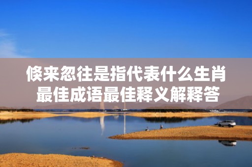倏来忽往是指代表什么生肖 最佳成语最佳释义解释答