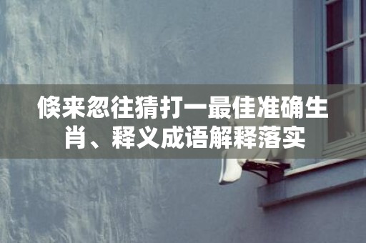倏来忽往猜打一最佳准确生肖、释义成语解释落实