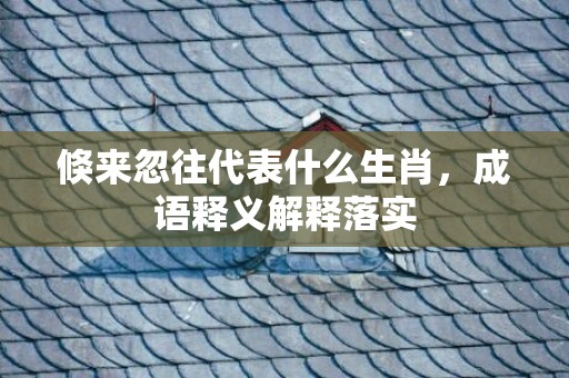 倏来忽往代表什么生肖，成语释义解释落实