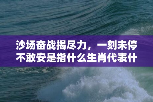沙场奋战揭尽力，一刻未停不敢安是指什么生肖代表什么数字动物，释义成语解释落实