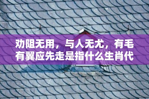 劝阻无用，与人无尤，有毛有翼应先走是指什么生肖代表什么数字动物，成语释义解释落实