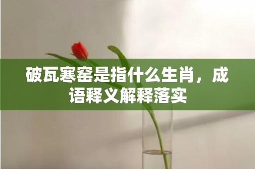 破瓦寒窑是指什么生肖，成语释义解释落实