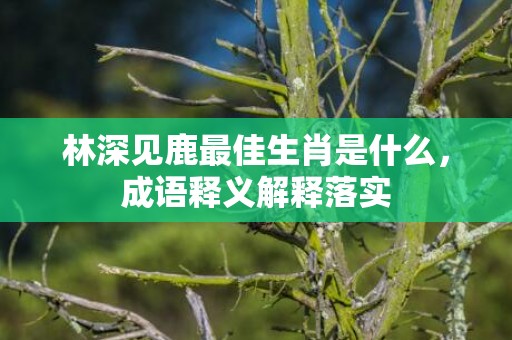林深见鹿最佳生肖是什么，成语释义解释落实