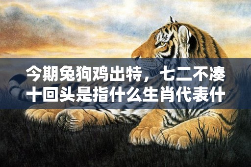 今期兔狗鸡出特，七二不凑十回头是指什么生肖代表什么数字动物、成语解释落实