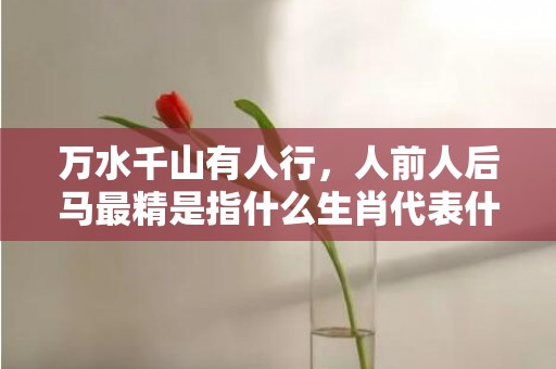 万水千山有人行，人前人后马最精是指什么生肖代表什么数字动物，释义成语解释落实