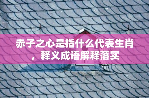 赤子之心是指什么代表生肖，释义成语解释落实