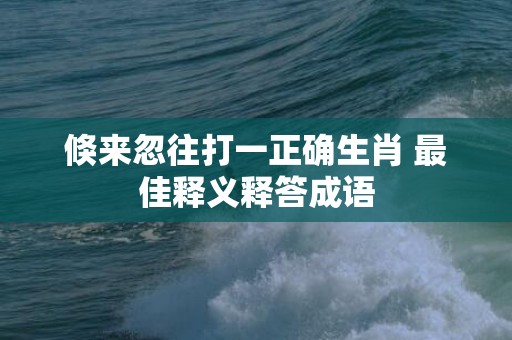 倏来忽往打一正确生肖 最佳释义释答成语