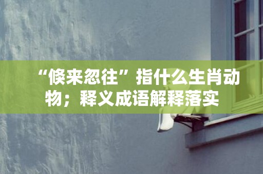 “倏来忽往”指什么生肖动物；释义成语解释落实