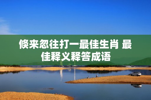 倏来忽往打一最佳生肖 最佳释义释答成语