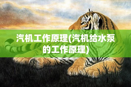 汽机工作原理(汽机给水泵的工作原理)