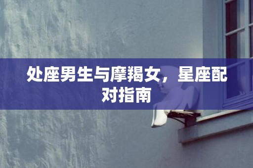 处座男生与摩羯女，星座配对指南