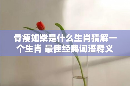 骨瘦如柴是什么生肖猜解一个生肖 最佳经典词语释义
