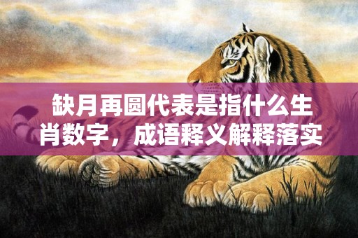  缺月再圆代表是指什么生肖数字，成语释义解释落实