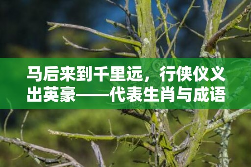 马后来到千里远，行侠仪义出英豪——代表生肖与成语释义