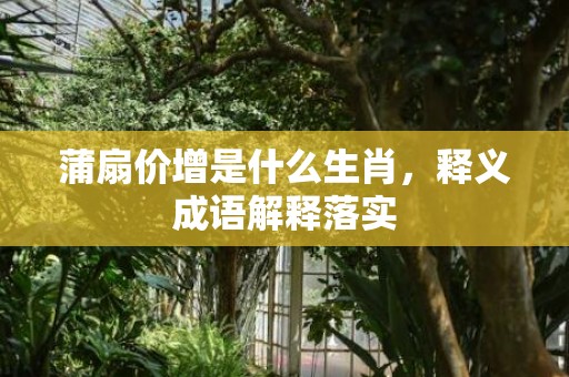 蒲扇价增是什么生肖，释义成语解释落实