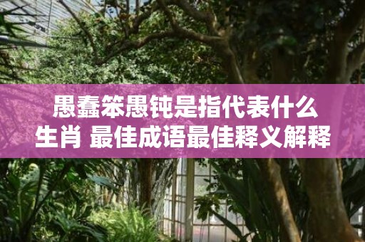  愚蠢笨愚钝是指代表什么生肖 最佳成语最佳释义解释答