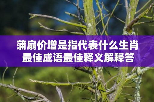 蒲扇价增是指代表什么生肖 最佳成语最佳释义解释答