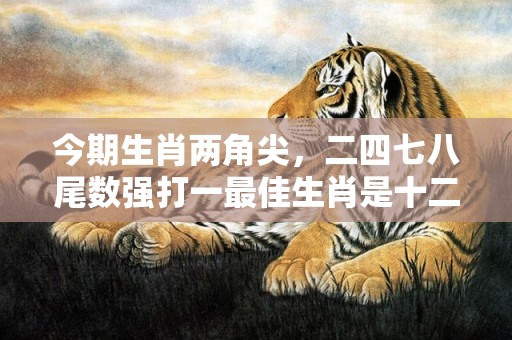 今期生肖两角尖，二四七八尾数强打一最佳生肖是十二生肖中的龙。