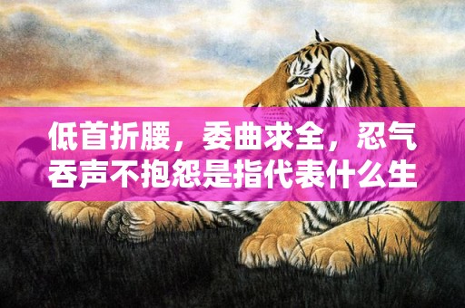 低首折腰，委曲求全，忍气吞声不抱怨是指代表什么生肖，今日解析成语