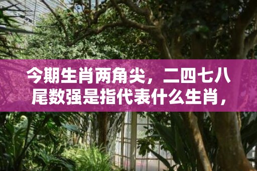 今期生肖两角尖，二四七八尾数强是指代表什么生肖，释义成语解释落实