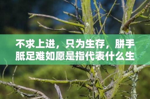 不求上进，只为生存，胼手胝足难如愿是指代表什么生肖，释义成语解释落实