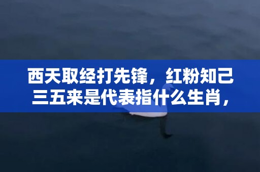 西天取经打先锋，红粉知己三五来是代表指什么生肖，打一最佳生肖，成语释义解释落实