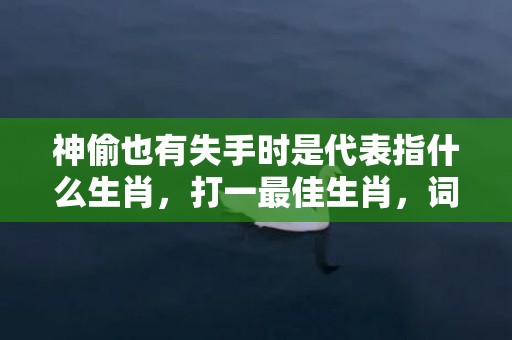 神偷也有失手时是代表指什么生肖，打一最佳生肖，词语解答落实释义