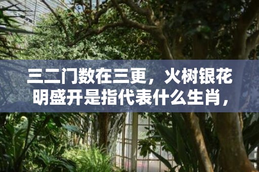 三二门数在三更，火树银花明盛开是指代表什么生肖，成语释义解释落实