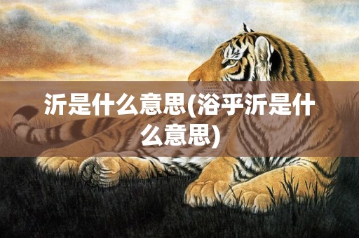 沂是什么意思(浴乎沂是什么意思)