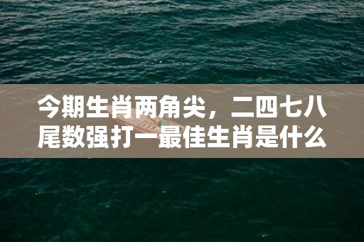 今期生肖两角尖，二四七八尾数强打一最佳生肖是什么数字生肖 最佳成语释义解释答