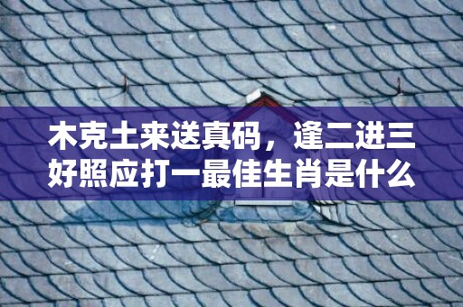 木克土来送真码，逢二进三好照应打一最佳生肖是什么数字生肖 最佳成语释义解释答