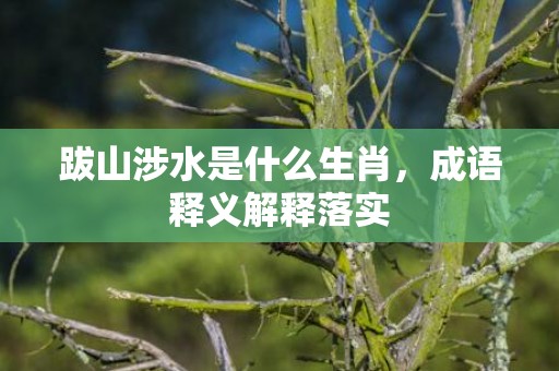 跋山涉水是什么生肖，成语释义解释落实