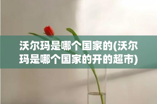 沃尔玛是哪个国家的(沃尔玛是哪个国家的开的超市)