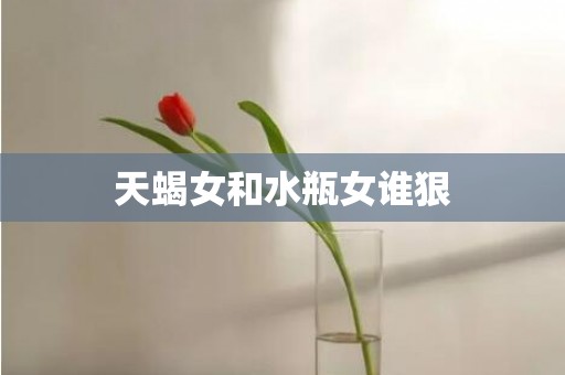 天蝎女和水瓶女谁狠