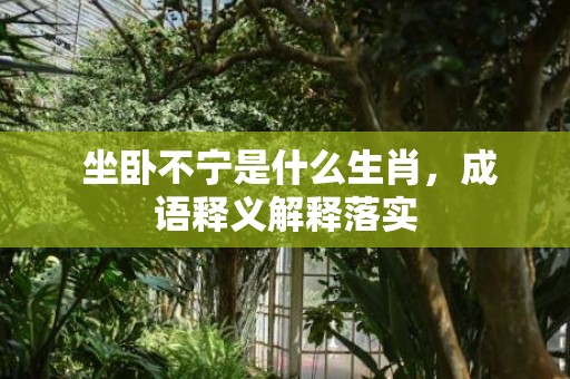  坐卧不宁是什么生肖，成语释义解释落实