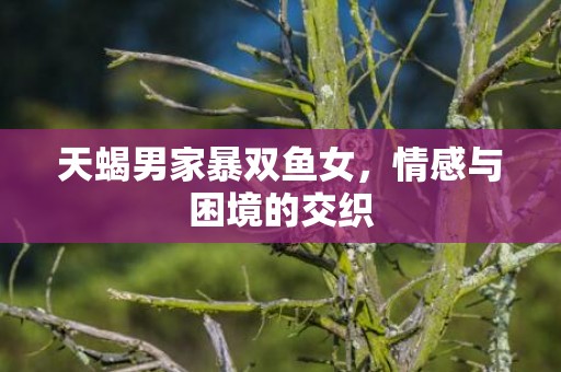 天蝎男家暴双鱼女，情感与困境的交织